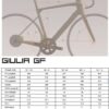 geometrie-sensa-guilia-gf-2024